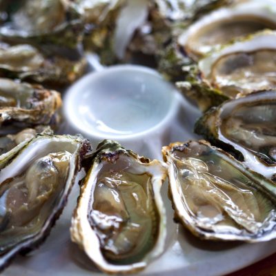 Oysters Oysters